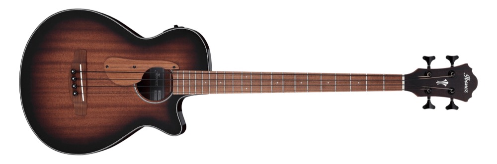Ibanez AEGB24E 4 String Acoustic Electric  …