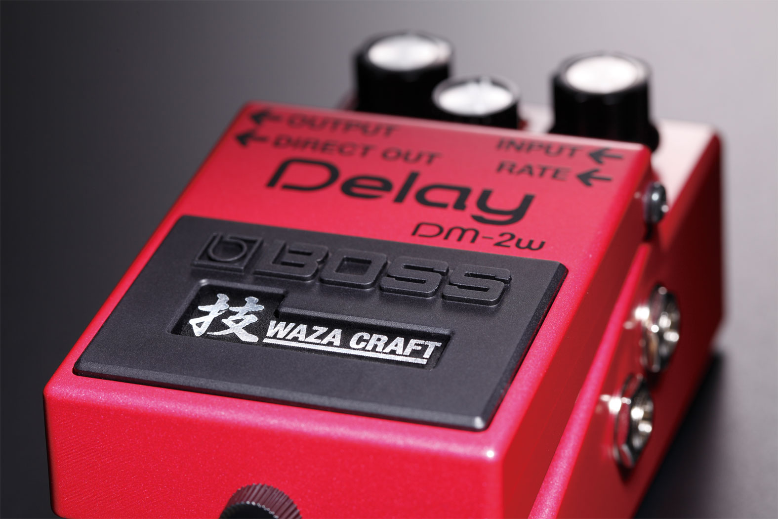 BOSS DM-2W Waza Craft Delay Pedal