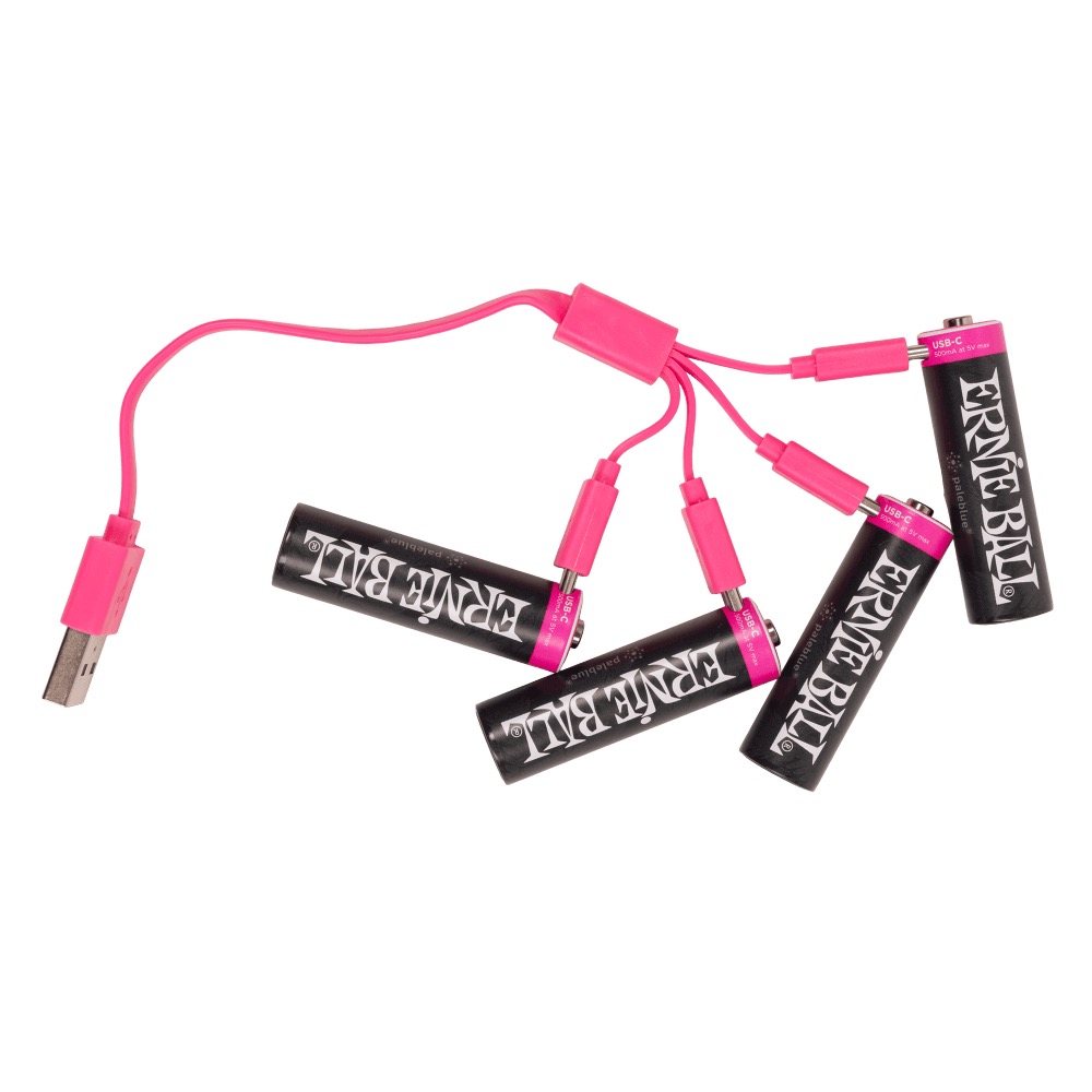Ernie Ball Ernie Ball USB-C Rechargeable AA Battery by Paleblue (4 Pack) - Misc