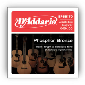 D'Addario Acoustic Bass Strings