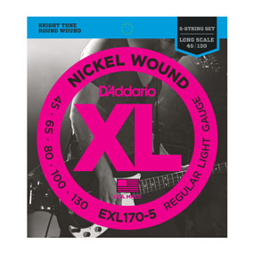 D'Addario EXL170-5 45-130 5-String Bass