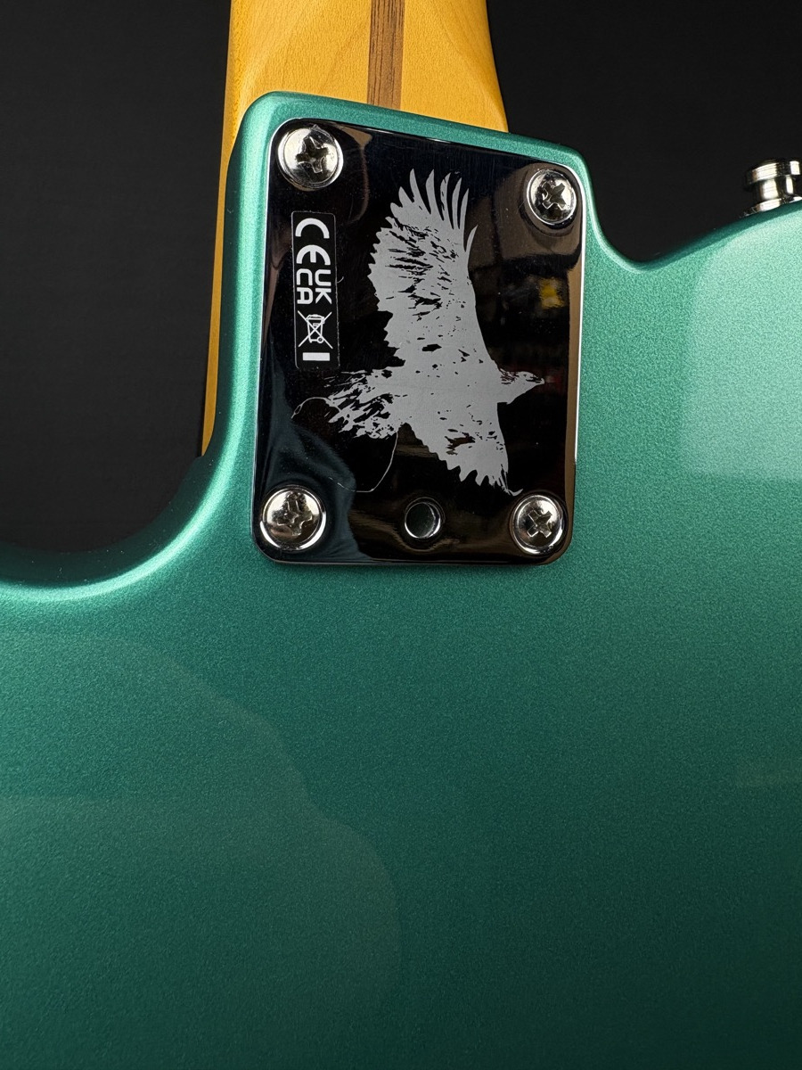 Fender Fender Susan Tedeschi Telecaster, Aged Caribbean Mist - Guitars