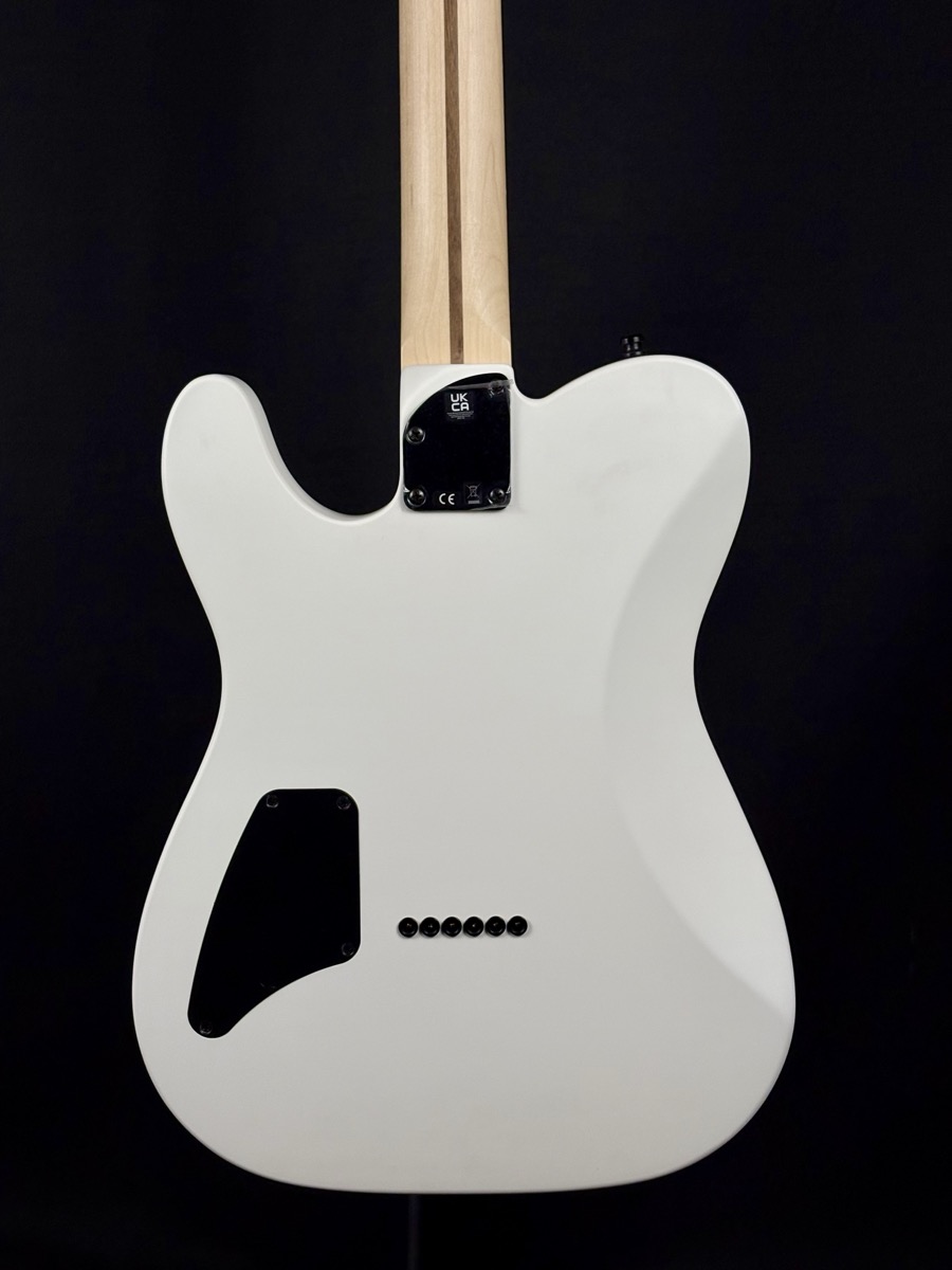 Fender Fender Jim Root Telecaster HH - White With Ebony Fingerboard w/Hardshell Case - Guitars