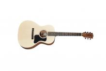 Gibson G-00 Acoustic Guitar In Natural w/Gig Bag