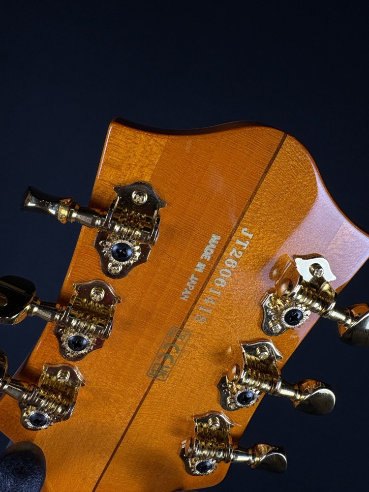 Gretsch Gretsch G6120T-55 Vintage Series '55 Chet Atkins Hollow Body In Vintage Orange - Guitars