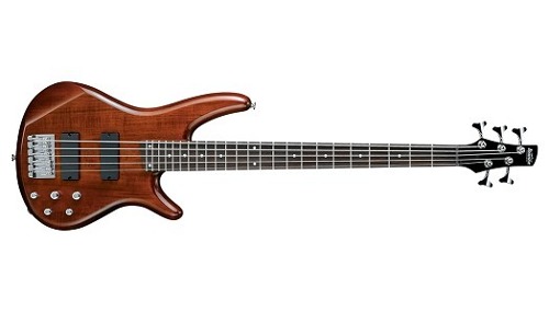 Ibanez Ibanez Gio 5 String Bass in Walnut - Basses