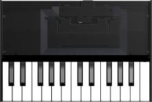 Roland K-25M