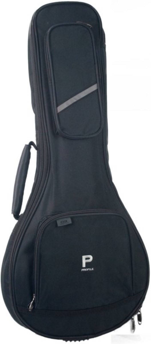 Misc Profile Mandolin Gig Bag - Cases