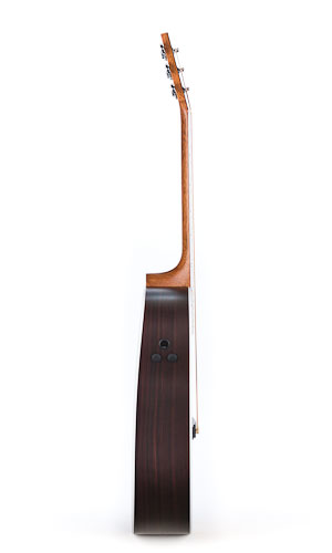 Martin Martin Performer Series DCPA3 - Guitars