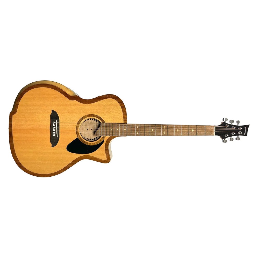 Misc Riversong River Pacific Acoustic Electric P2P GA w/Bag - Guitars