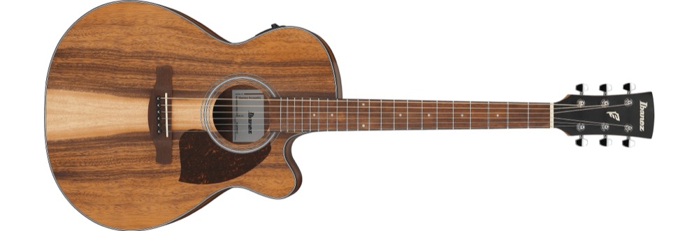Ibanez PC50WSCE Grand Concert Cutaway  …