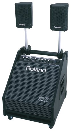 Roland on sale pm 30