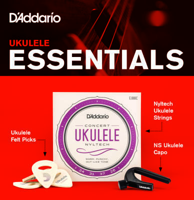 Planet Waves UKEB-VM Ukulele Accessories Bundle