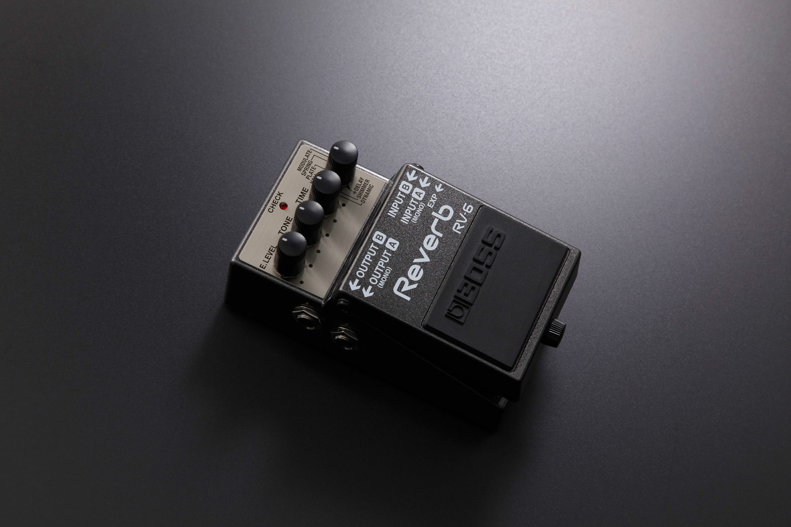 BOSS RV-6 Digital Reverb Pedal: Canadian Online Music Store in