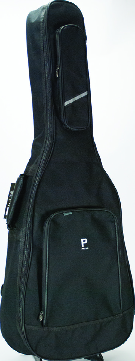 Profile Acoustic Bag