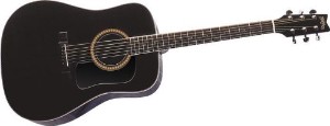 Washburn Washburn WD5SCE12B Dreadnought Spruce Top 12 String - Guitars
