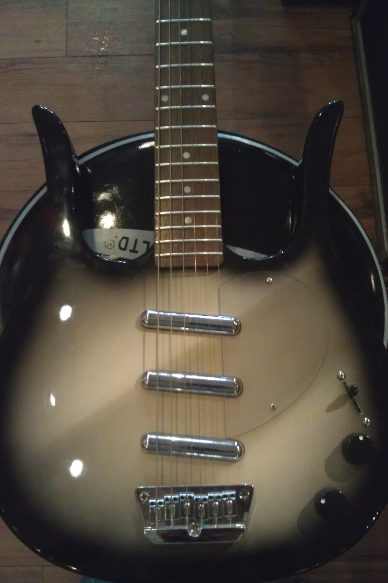 Used danelectro bass new arrivals