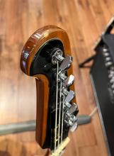 firebird_7.jpg