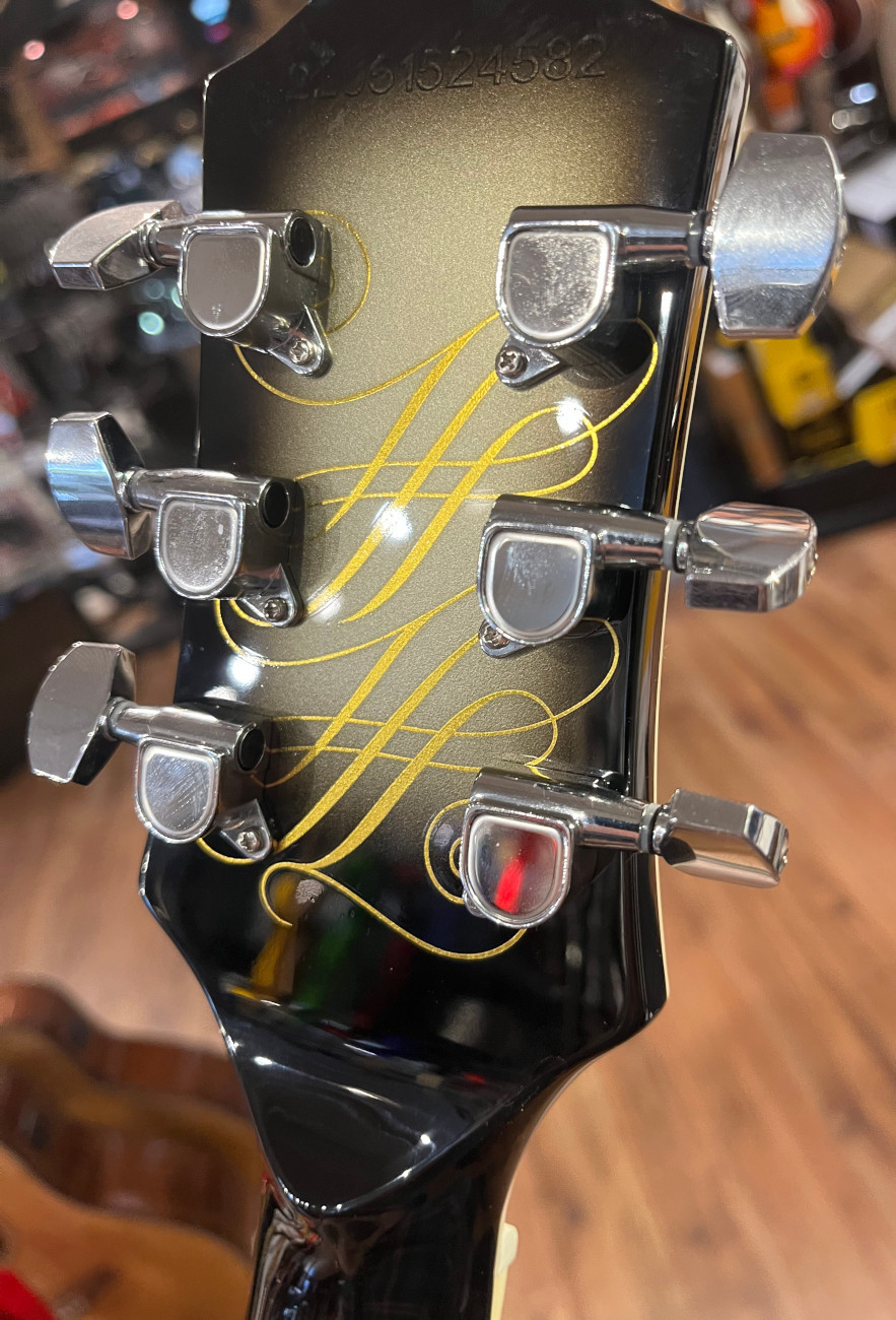 Epiphone USED Epiphone Adam Jones Signature Art Series Veil of Bees w/ohsc - Used