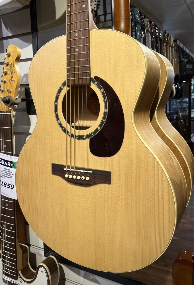 希少】アコギ Norman encore B20 ほぼ新品 【公式通販】