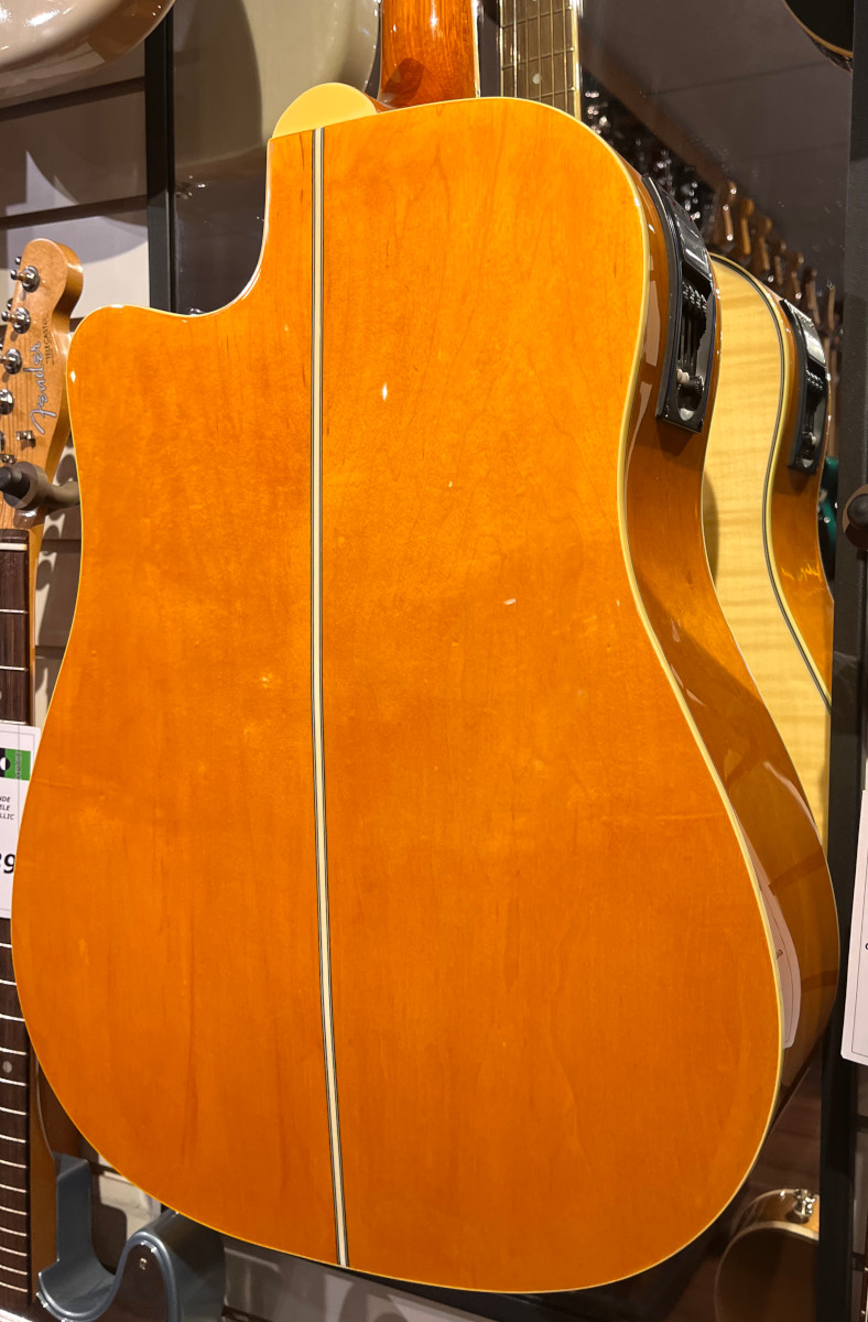 Fina acoustic guitar price discount