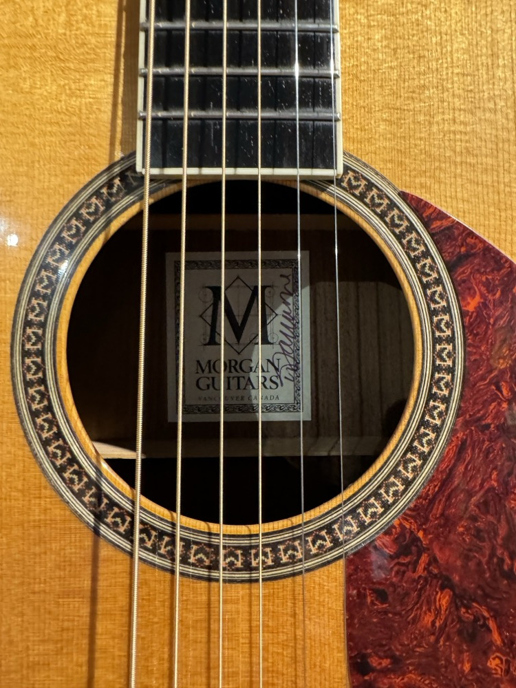 Misc USED Morgan DM Dreadnought Guitar By David Iannone w/Case - CONSIGNMENT - Used