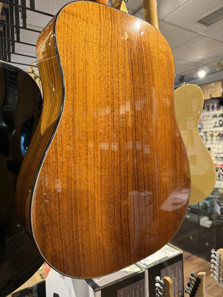 Misc USED Morgan DM Dreadnought Guitar By David Iannone w/Case - CONSIGNMENT - Used