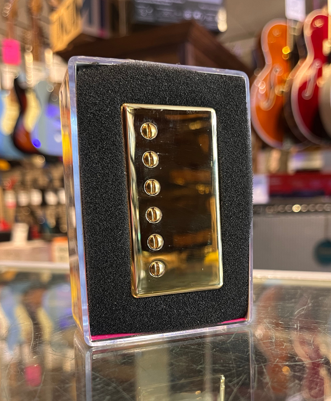 Epiphone Alnico Classic Proゴールド ハーネスセット｜エレキギター