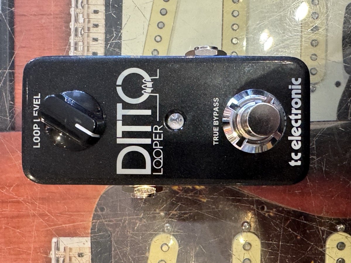 USED TC Electronic Ditto Looper Pedal w/Box