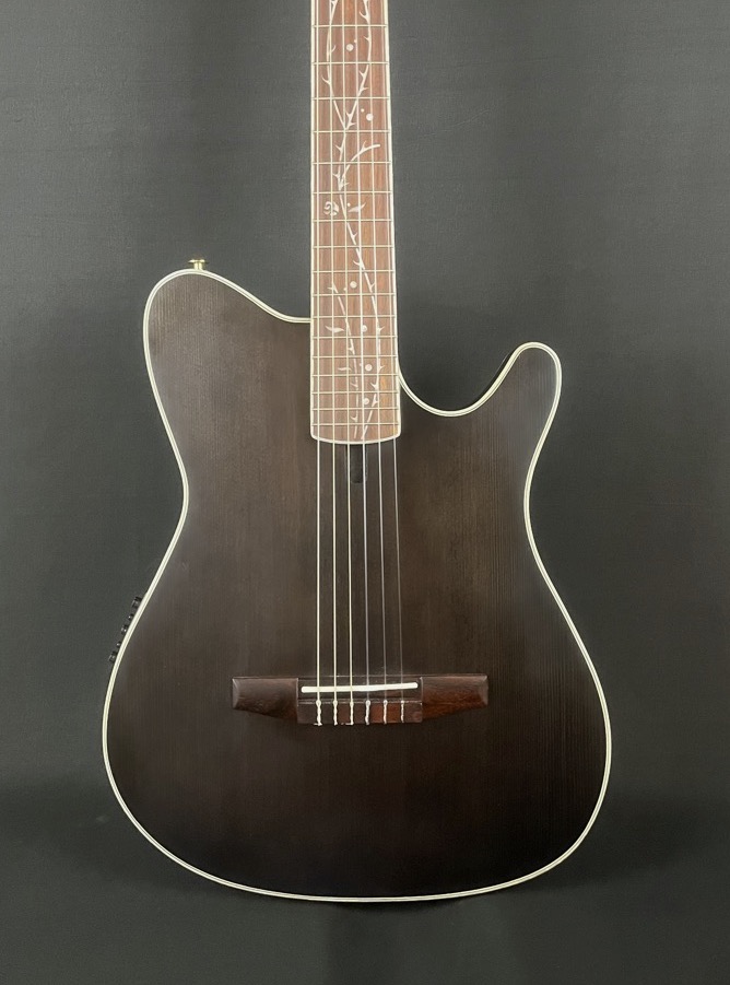USED Ibanez Tim Henson Signature Nylon Guitar  &hellip;