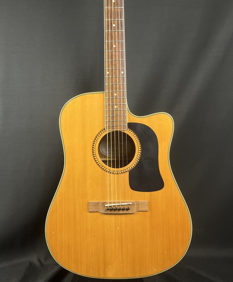 Washburn USED Washburn D10SCE Acoustic Guitar - Used