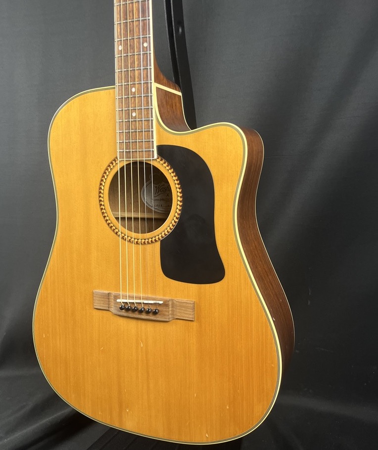 Washburn USED Washburn D10SCE Acoustic Guitar - Used
