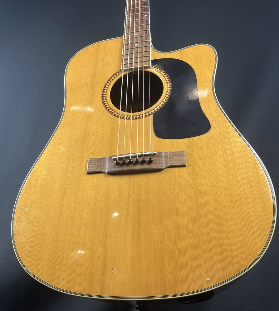 Washburn USED Washburn D10SCE Acoustic Guitar - Used