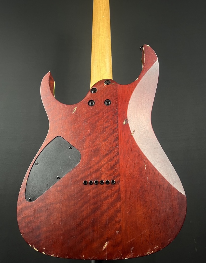 Ibanez USED Ibanez RGEW521 RG Electric Guitar In Natural Flat Ziricote - Used