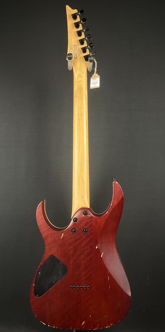 Ibanez USED Ibanez RGEW521 RG Electric Guitar In Natural Flat Ziricote - Used