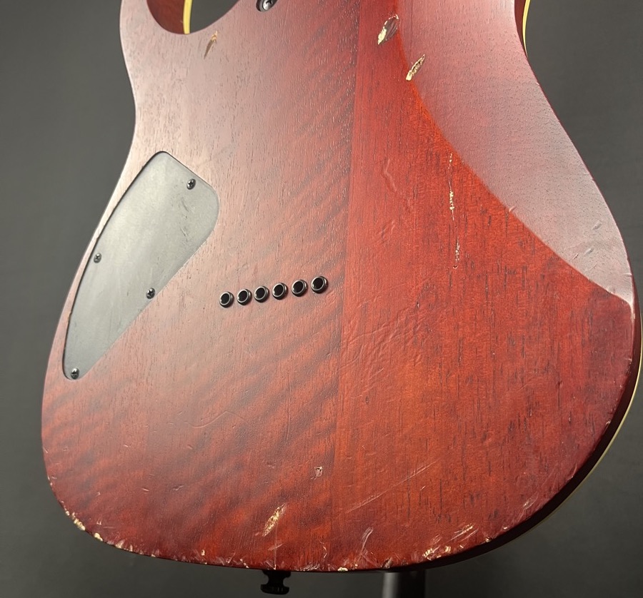 Ibanez USED Ibanez RGEW521 RG Electric Guitar In Natural Flat Ziricote - Used
