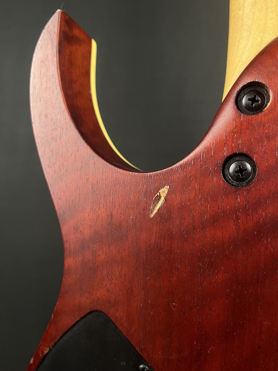 Ibanez USED Ibanez RGEW521 RG Electric Guitar In Natural Flat Ziricote - Used