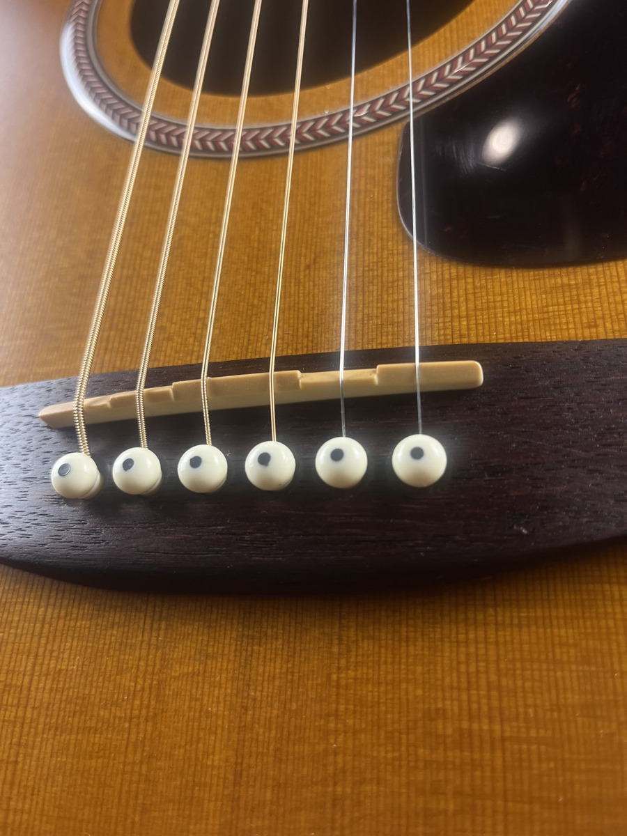 Misc USED Seagull Entourage Mini Jumbo Rustic - Used