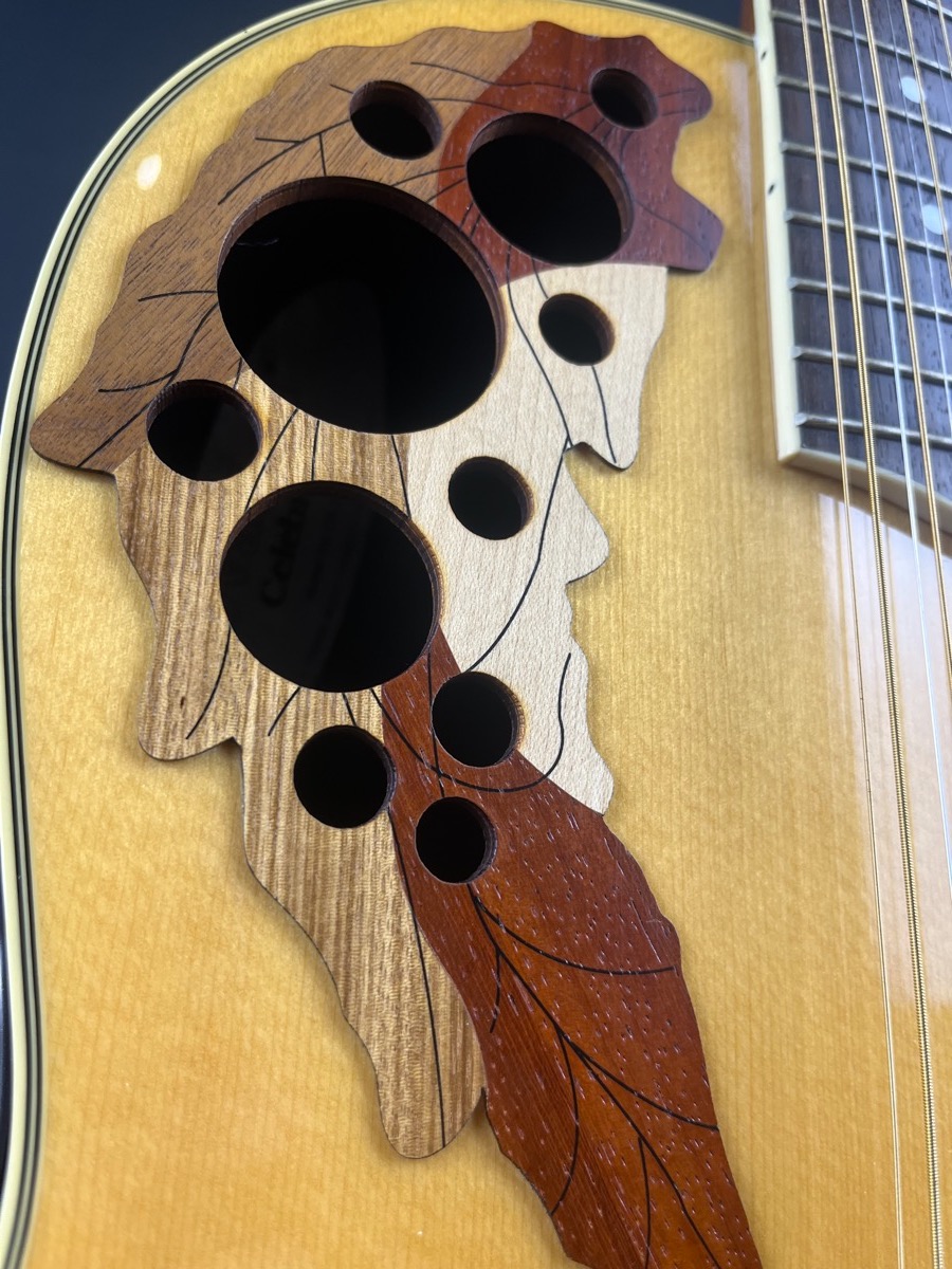 Misc USED Ovation Celebrity CS245 12 String Rich Spruce w/OHSC - Used