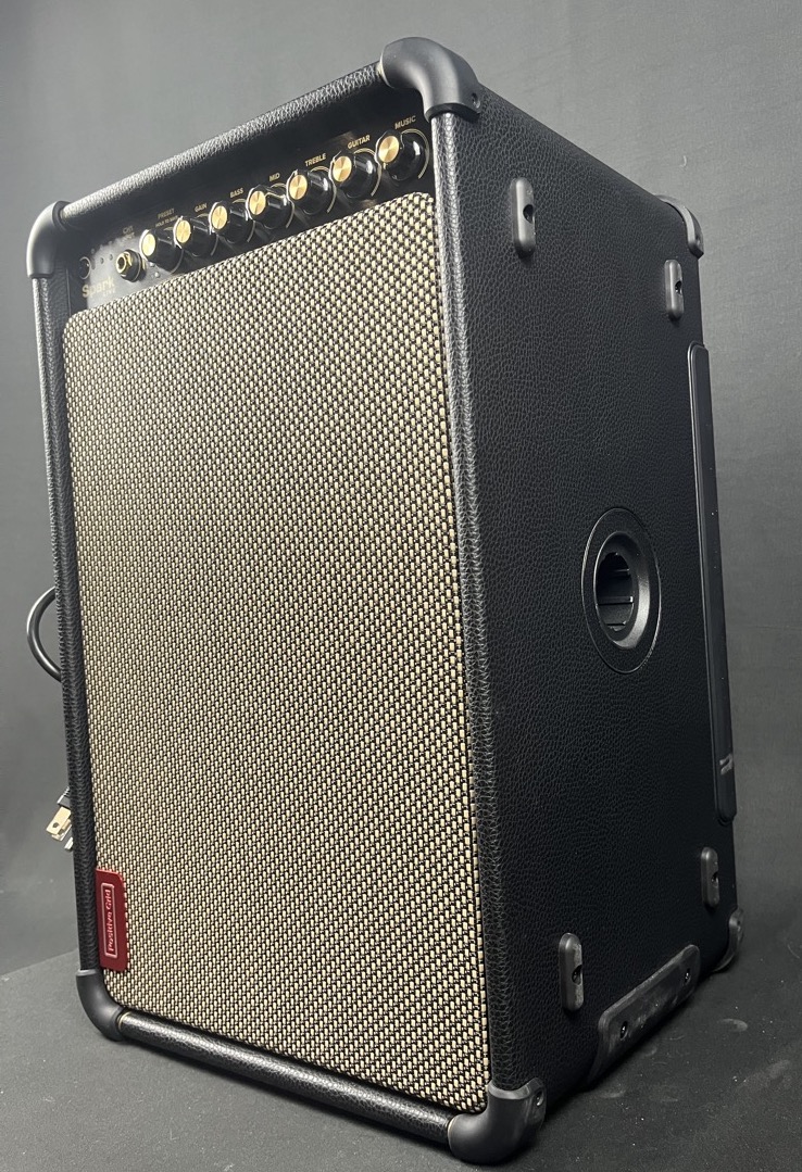 Positive Grid USED Positive Grid Spark Live 150w 4-Channel Combo PA System - Live Sound, DJ