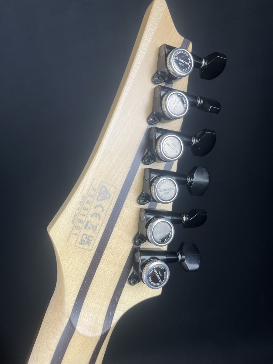 Ibanez USED Ibanez RGD3121PRF Polar Lights Flat Prestige w/OHSC - Used