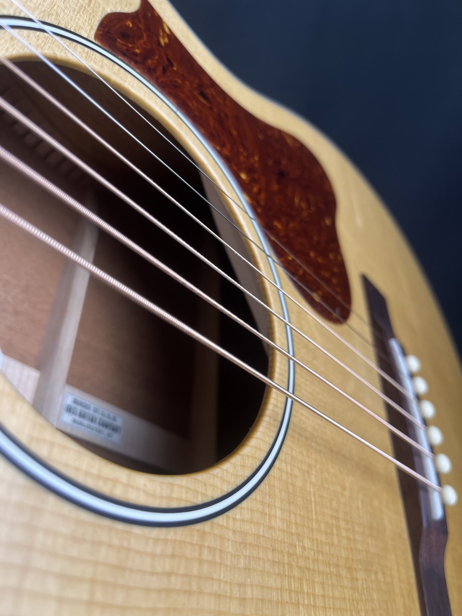 Misc USED IRIS RCM-000 12th Fret Acoustic w/OHSC - CONSIGNMENT - Used