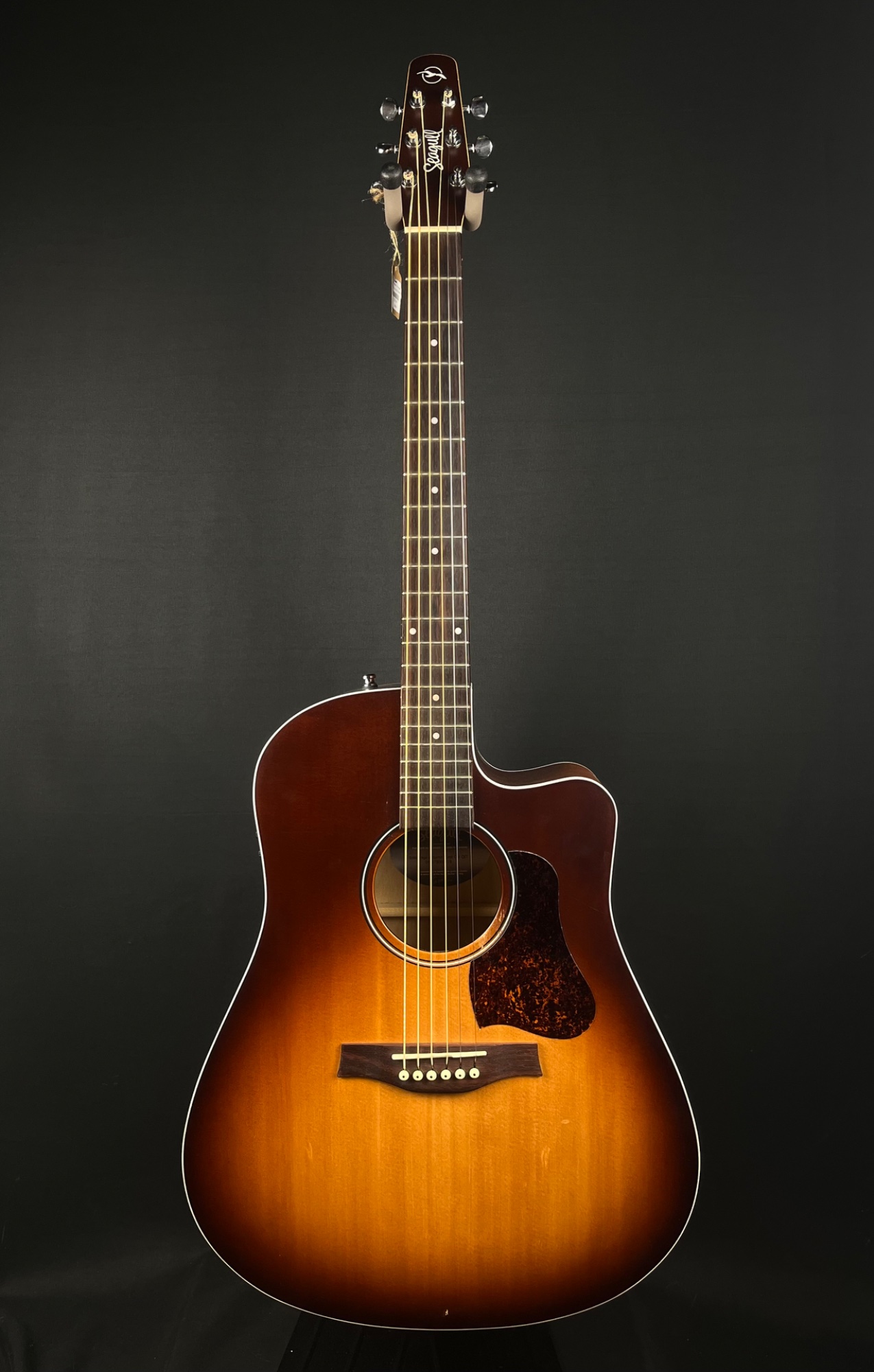 USED Seagull Entourage Cutaway Acoustic …